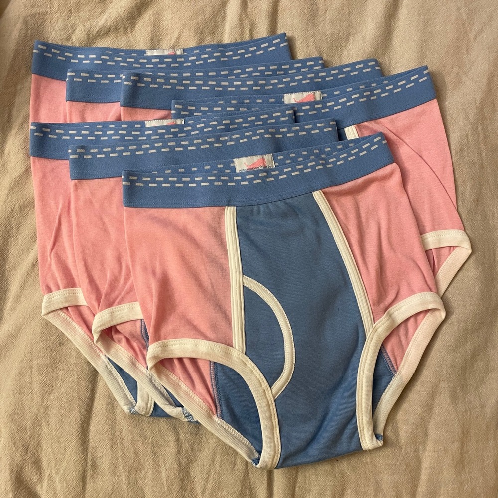 Deadstock Vintage Tiger Briefs Boys 14-16 Pink Blue Colorblock 6 Pack Underwear